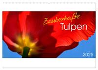 Zauberhafte Tulpen (Wandkalender 2025 DIN A2 quer), CALVENDO Monatskalender