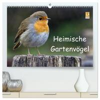 Vorderes Coverbild Heimische Gartenvögel (hochwertiger Premium Wandkalender 2025 DIN A2 quer), Kunstdruck in Hochglanz