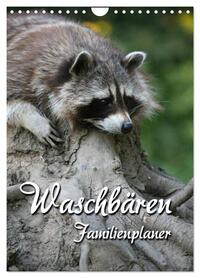 Waschbären Familienplaner (Wandkalender 2026 DIN A4 hoch), CALVENDO Monatskalender