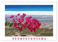 Vorderes Coverbild Fuerteventura (Wandkalender 2025 DIN A3 quer), CALVENDO Monatskalender