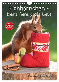 Vorderes Coverbild Eichhörnchen - kleine Tiere, große Liebe (Wandkalender 2025 DIN A4 hoch), CALVENDO Monatskalender