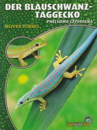 Der Blauschwanz-Taggecko