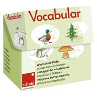 Vocabular