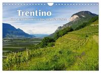 Trentino - Von den Dolomiten bis zum Gardasee (Wandkalender 2025 DIN A4 quer), CALVENDO Monatskalender