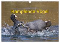 Kämpfende Vögel (Wandkalender 2025 DIN A3 quer), CALVENDO Monatskalender