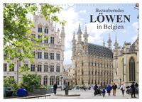 Bezauberndes Löwen in Belgien (Wandkalender 2026 DIN A3 quer), CALVENDO Monatskalender