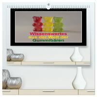 Wissenswertes aus der Welt der Gummibären (hochwertiger Premium Wandkalender 2026 DIN A2 quer), Kunstdruck in Hochglanz