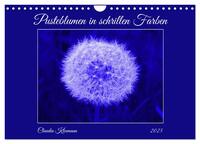 Pusteblumen in schrillen Farben (Wandkalender 2025 DIN A4 quer), CALVENDO Monatskalender