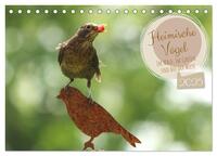 Heimische Vögel - Im Wald, im Garten und auf der Wiese (Tischkalender 2025 DIN A5 quer), CALVENDO Monatskalender