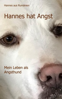 Hannes hat Angst