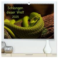 Schlangen dieser Welt (hochwertiger Premium Wandkalender 2025 DIN A2 quer), Kunstdruck in Hochglanz