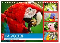 Papageien. Knallbunte Aras und Co. (Wandkalender 2025 DIN A4 quer), CALVENDO Monatskalender