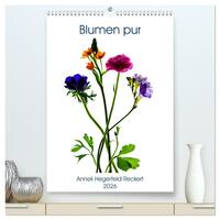 Blumen pur (hochwertiger Premium Wandkalender 2026 DIN A2 hoch), Kunstdruck in Hochglanz