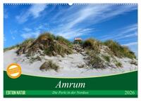 Amrum, die Perle in der Nordsee (Wandkalender 2026 DIN A2 quer), CALVENDO Monatskalender