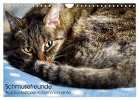 Schmusefreunde (Wandkalender 2025 DIN A4 quer), CALVENDO Monatskalender
