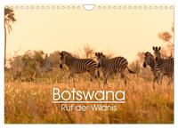Botswana - Ruf der Wildnis (Wandkalender 2025 DIN A4 quer), CALVENDO Monatskalender