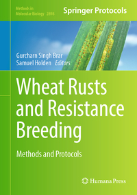 Wheat Rusts and Resistance Breeding