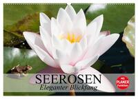 Seerosen. Eleganter Blickfang (Wandkalender 2025 DIN A2 quer), CALVENDO Monatskalender