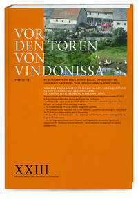 Vor den Toren von Vindonissa