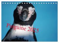 Pinguine 2025 (Tischkalender 2025 DIN A5 quer), CALVENDO Monatskalender
