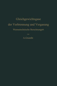 Gleichgewichtsgase der Verbrennung und Vergasung