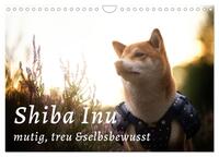 Vorderes Coverbild Shiba Inu - mutig, treu, selbstbewusst (Wandkalender 2026 DIN A4 quer), CALVENDO Monatskalender