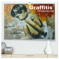 Graffitis • Straßenkunst (hochwertiger Premium Wandkalender 2025 DIN A2 quer), Kunstdruck in Hochglanz
