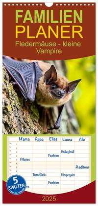 Familienplaner 2025 - Fledermäuse - kleine Vampire mit 5 Spalten (Wandkalender, 21 x 45 cm) CALVENDO