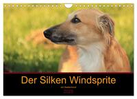 Der Silken Windsprite - ein Seelenhund (Wandkalender 2025 DIN A4 quer), CALVENDO Monatskalender