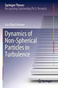 Dynamics of Non-Spherical Particles in Turbulence