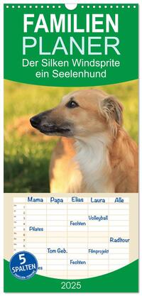 Familienplaner 2025 - Der Silken Windsprite - ein Seelenhund mit 5 Spalten (Wandkalender, 21 x 45 cm) CALVENDO