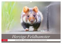 Herzige Feldhamster - farbenfrohe Nagetiere im städtischen Lebensraum (Wandkalender 2025 DIN A2 quer), CALVENDO Monatskalender