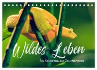 Wildes Leben - Ein Streifzug auf Zehenspitzen (Tischkalender 2026 DIN A5 quer), CALVENDO Monatskalender