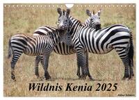 Vorderes Coverbild Wildnis Kenia 2025 (Wandkalender 2025 DIN A4 quer), CALVENDO Monatskalender