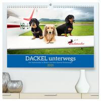 Dackel unterwegs (hochwertiger Premium Wandkalender 2025 DIN A2 quer), Kunstdruck in Hochglanz