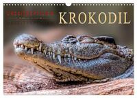 Urzeitreptilien - Krokodil (Wandkalender 2026 DIN A3 quer), CALVENDO Monatskalender