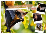 Fledermäuse - kleine Vampire (Wandkalender 2026 DIN A4 quer), CALVENDO Monatskalender