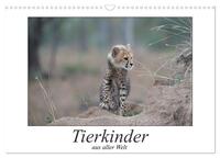 Tierkinder aus aller Welt (Wandkalender 2025 DIN A3 quer), CALVENDO Monatskalender