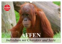 Affen - Individuen mit Charakter und Seele (Wandkalender 2025 DIN A3 quer), CALVENDO Monatskalender