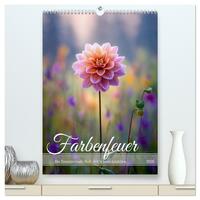 Farbenfeuer (hochwertiger Premium Wandkalender 2026 DIN A2 hoch), Kunstdruck in Hochglanz