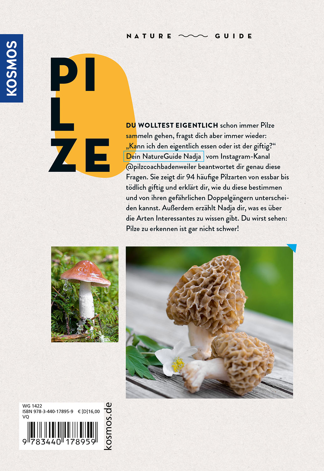 Rückseitencover Nature Guide Pilze
