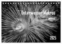 Unterwasser Makros - schwarz weiss 2025 (Tischkalender 2025 DIN A5 quer), CALVENDO Monatskalender