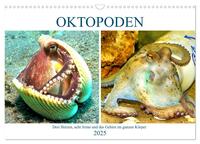 Oktopoden. Drei Herzen, acht Arme und das Gehirn im ganzen Körper (Wandkalender 2025 DIN A3 quer), CALVENDO Monatskalender