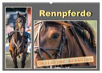 Rennpferde - Gesichter erzählen (Wandkalender 2026 DIN A2 quer), CALVENDO Monatskalender