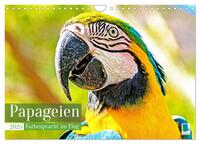 Papageien: Farbenpracht im Flug (Wandkalender 2025 DIN A4 quer), CALVENDO Monatskalender