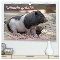 Schwein gehabt! (hochwertiger Premium Wandkalender 2026 DIN A2 quer), Kunstdruck in Hochglanz