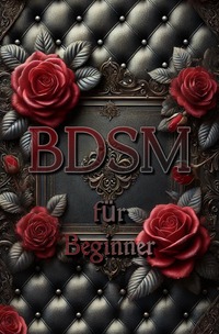 BDSM für Beginner
