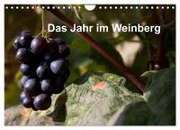 Das Jahr im Weinberg (Wandkalender 2026 DIN A4 quer), CALVENDO Monatskalender