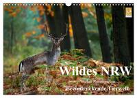 Wildes NRW - Beeindruckende Tierwelt (Wandkalender 2025 DIN A3 quer), CALVENDO Monatskalender