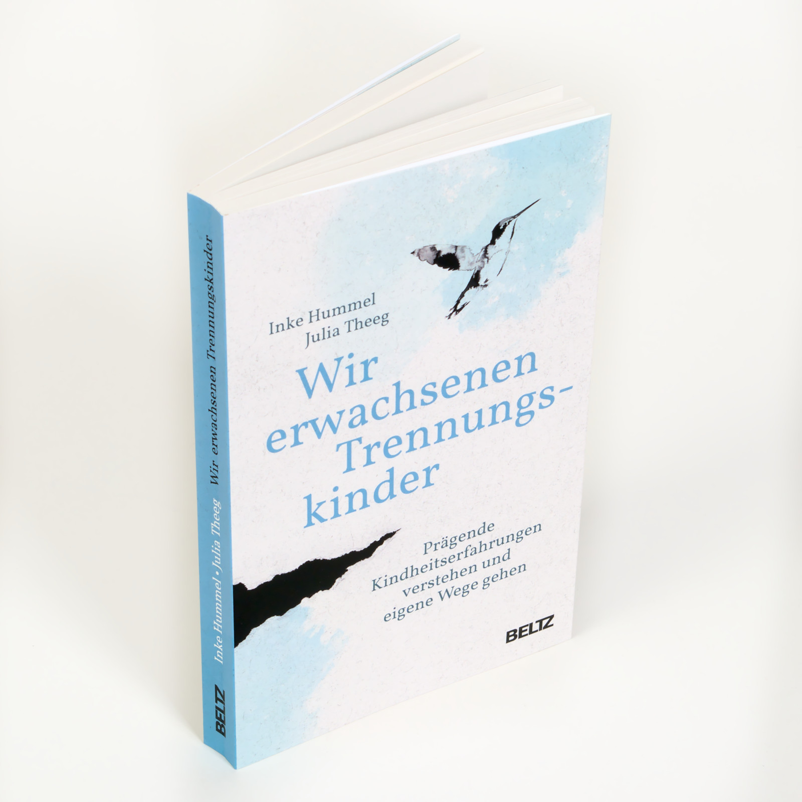Wir erwachsenen Trennungskinder